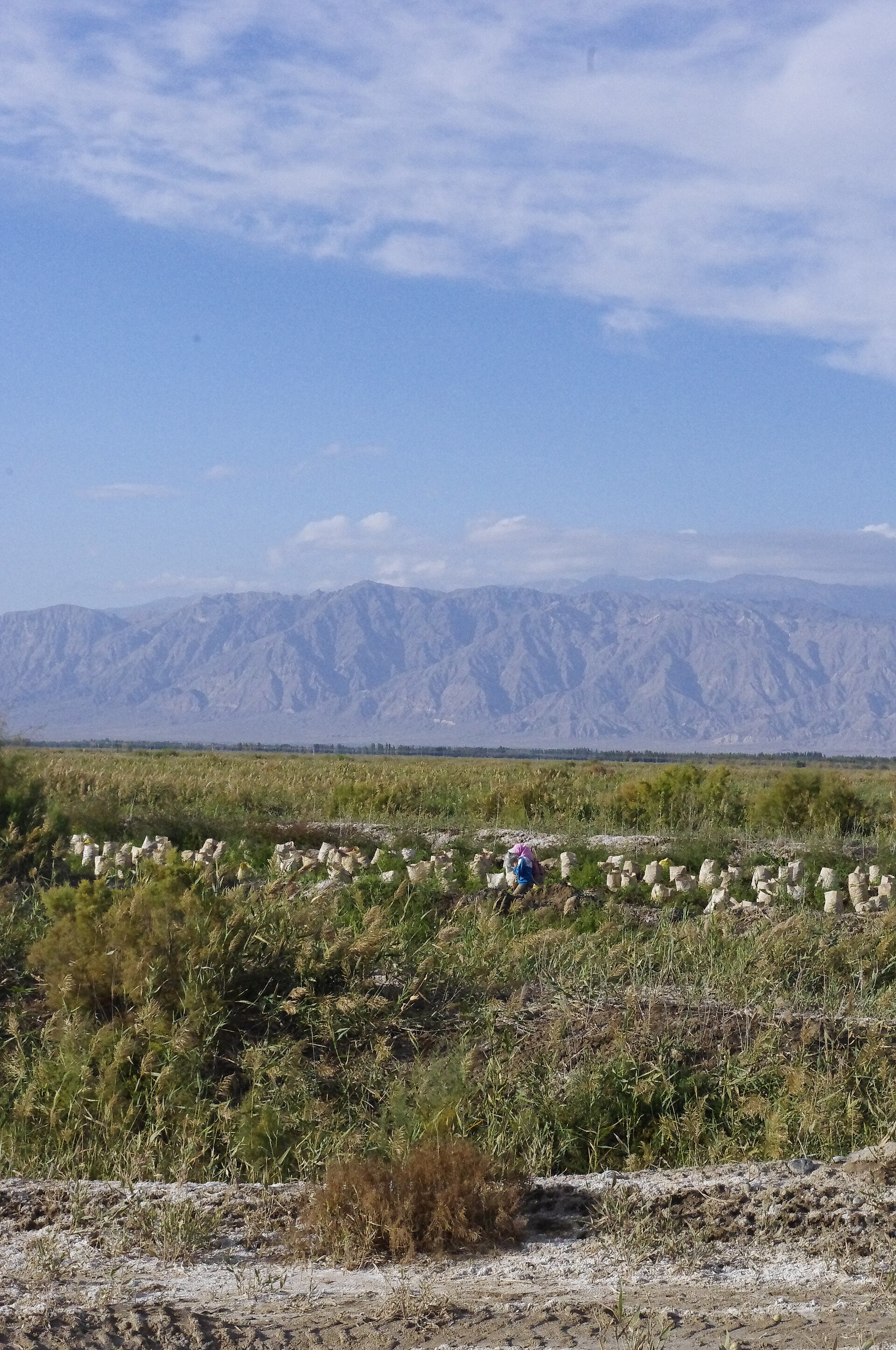 Xinjiang landscape IGP4168