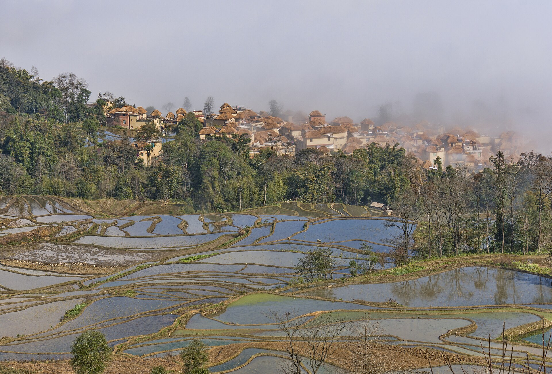 1 yuanyang rice terrace qingkou 2012