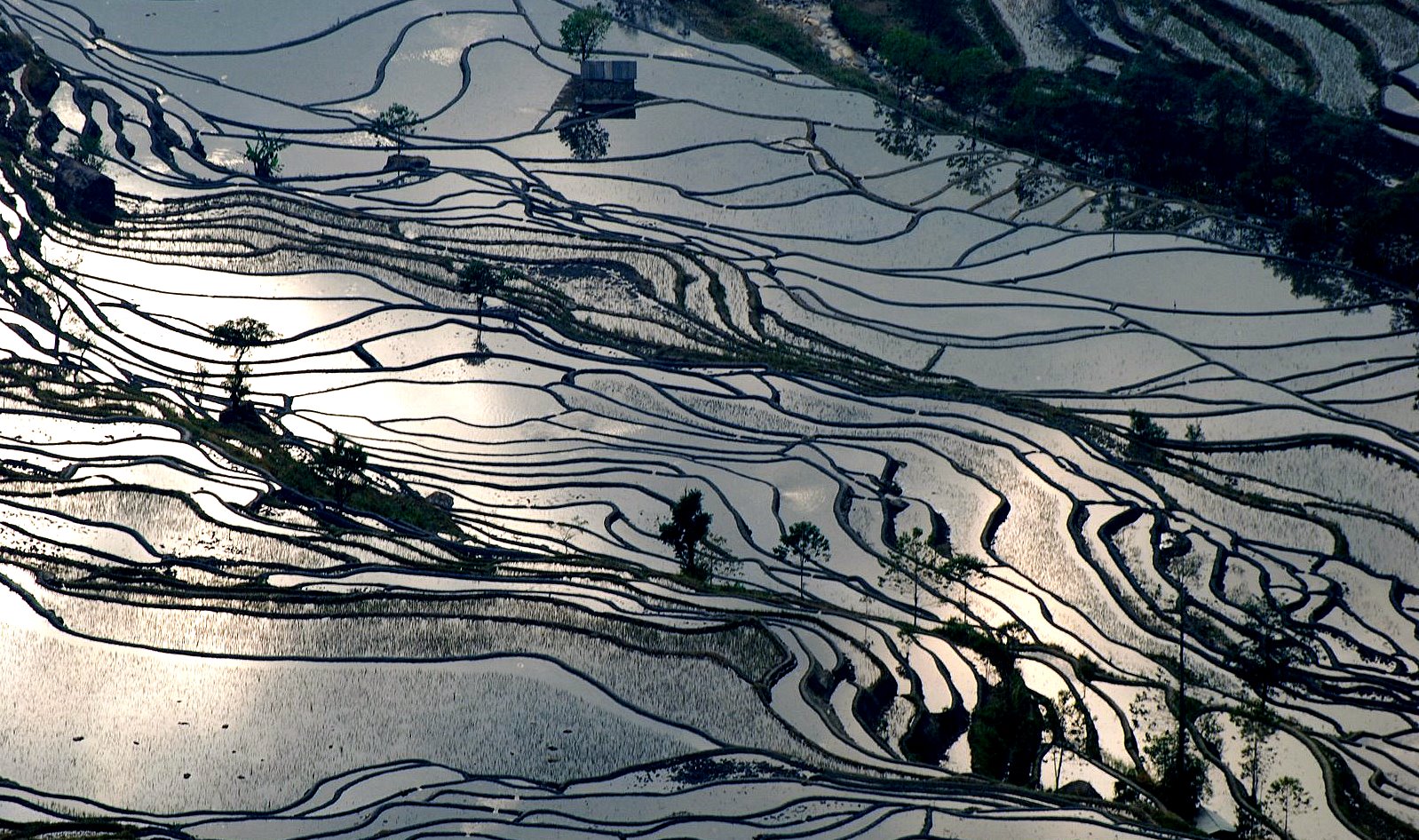 2007 12 02 yuanyang rice terraces sunset