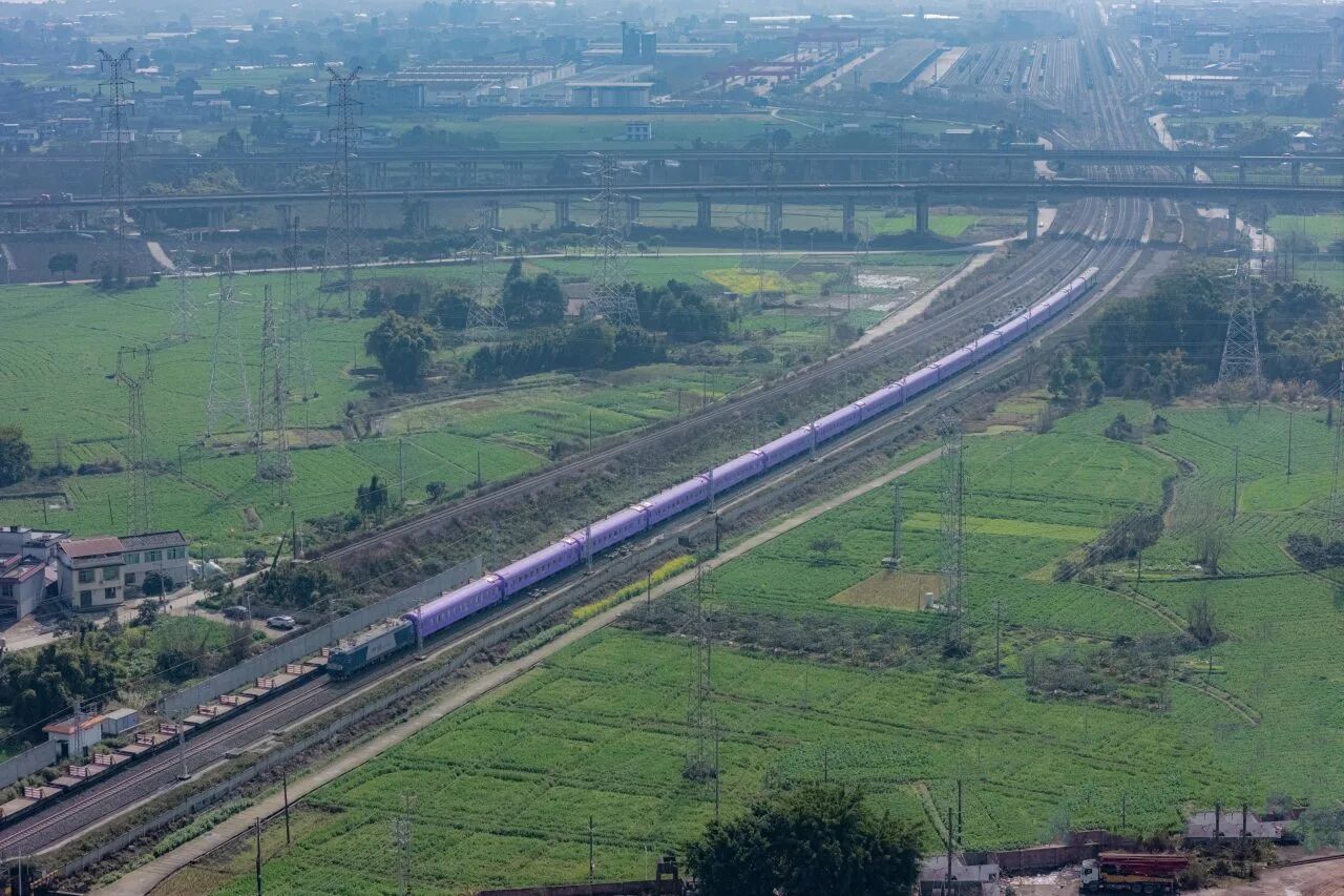 The purple Colorful Guizhou themed train crossing green farmland aerial view